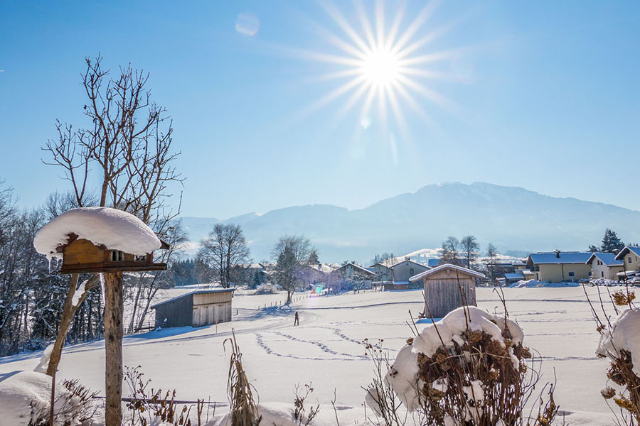 Ausblick Winter